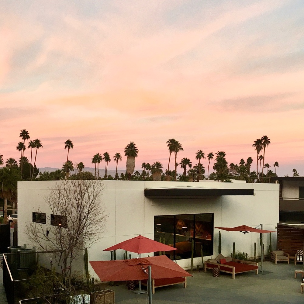 Meet your Posher, Pauline